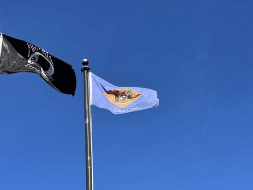 Delaware State Flag 1787