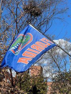 UF Gators
