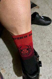 Poison Spider 021