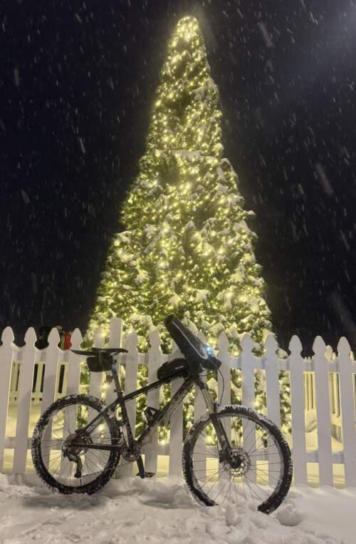 ALX OT Xmas Tree