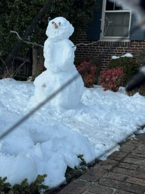 Snowman 01