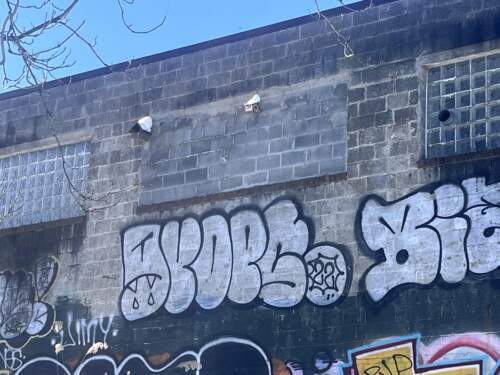 Birdhouses on a graffitied wall
