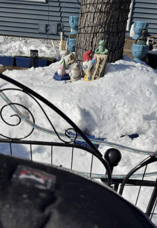 Snow Gnomes