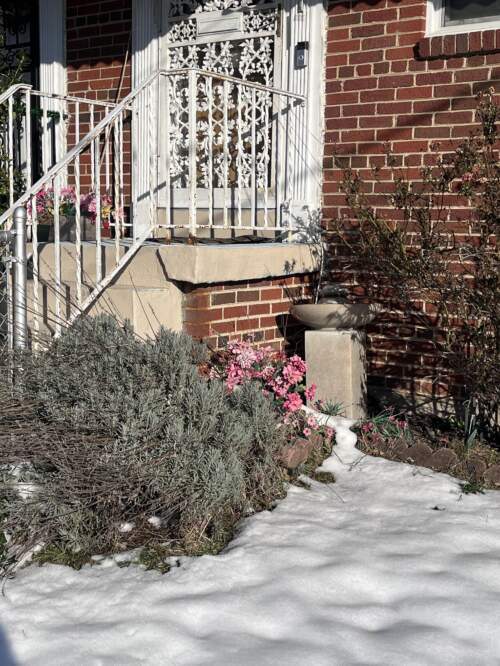 Pink artificial flowers next to a stoop in the snow